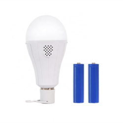 LED emergency bulb